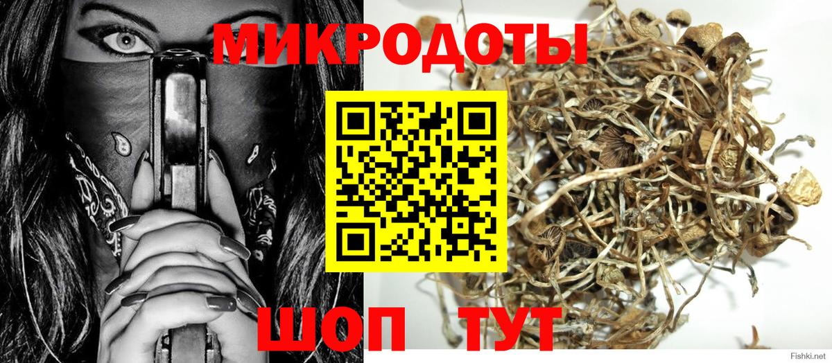 Псилоцибиновые грибы прущие грибы Кемерово